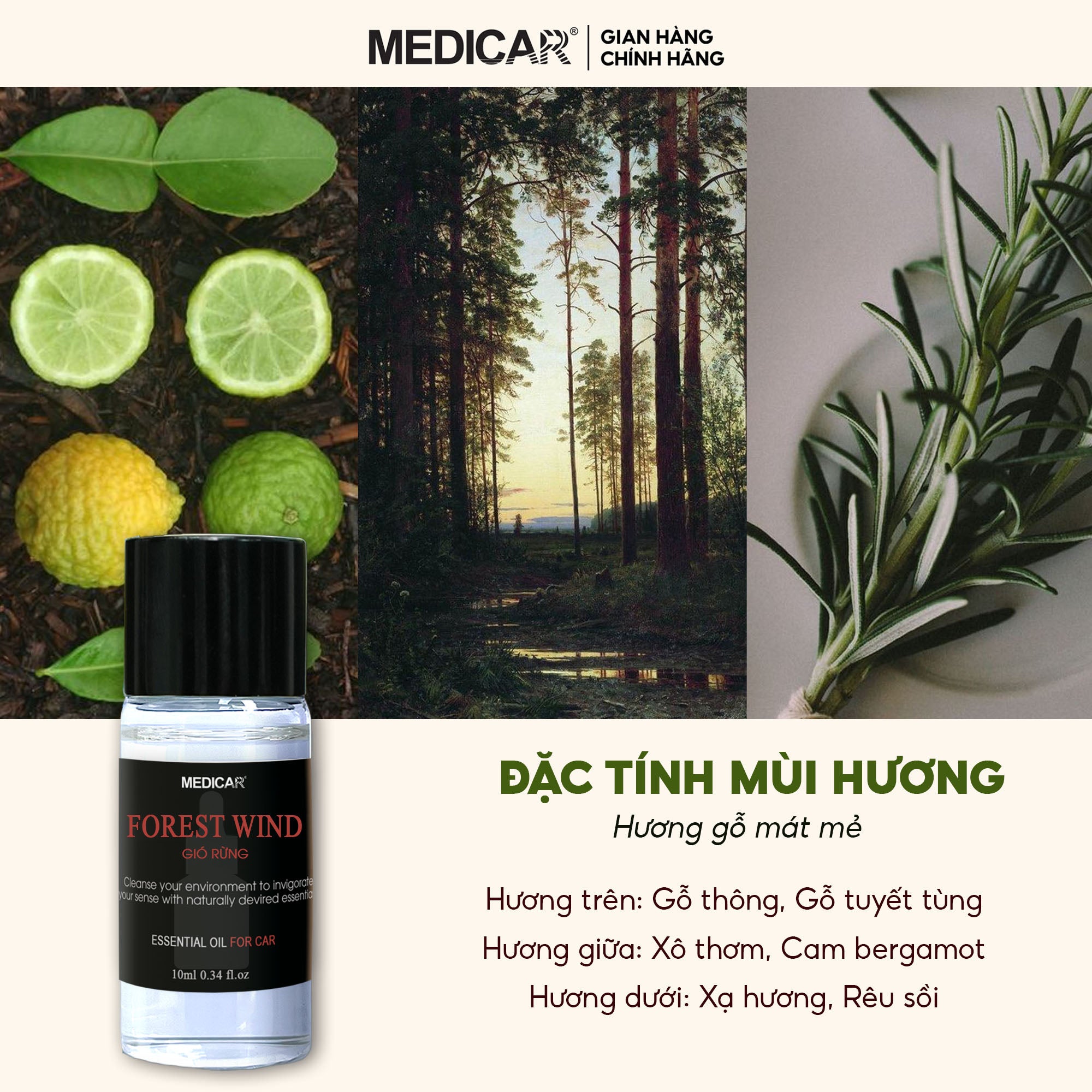 Tinh dầu ô tô FOREST WIND 10ml